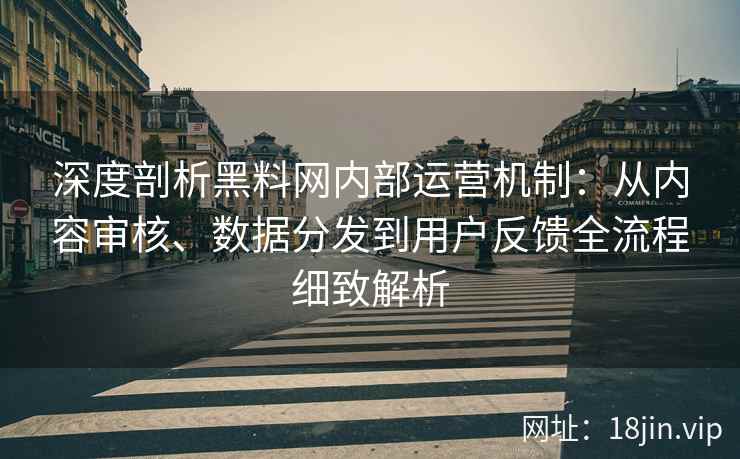 深度剖析黑料网内部运营机制：从内容审核、数据分发到用户反馈全流程细致解析