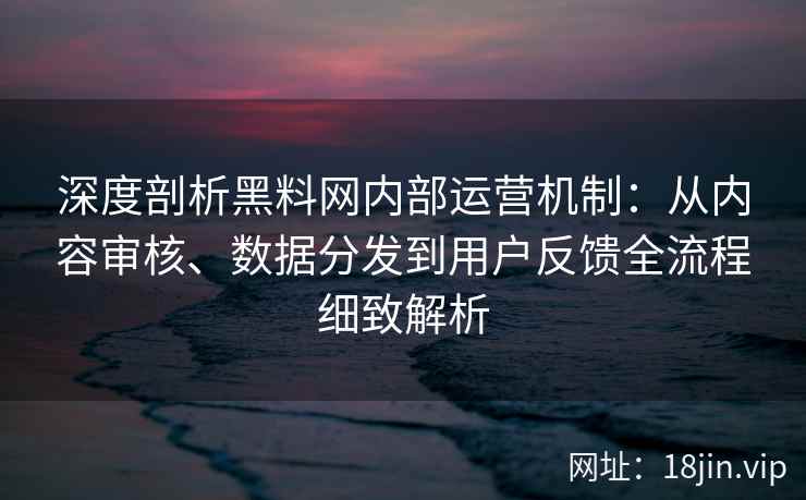 深度剖析黑料网内部运营机制：从内容审核、数据分发到用户反馈全流程细致解析