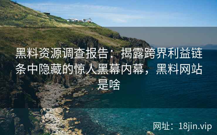 黑料资源调查报告：揭露跨界利益链条中隐藏的惊人黑幕内幕，黑料网站是啥