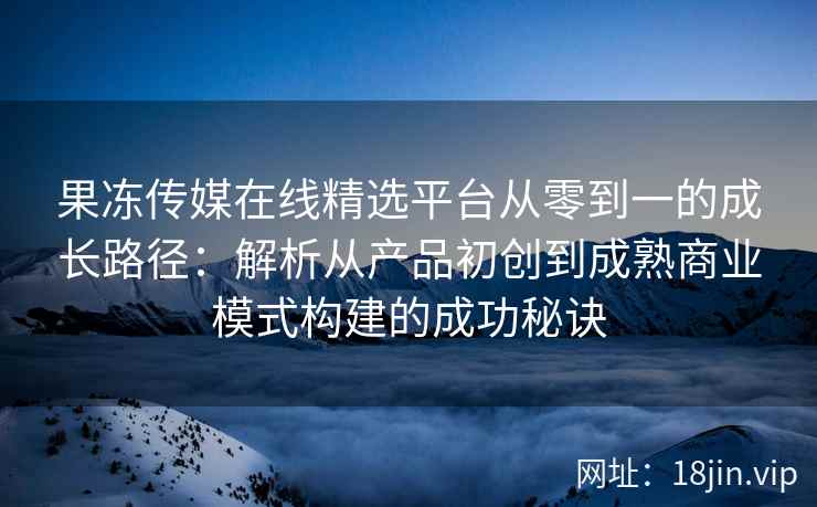 果冻传媒在线精选平台从零到一的成长路径：解析从产品初创到成熟商业模式构建的成功秘诀
