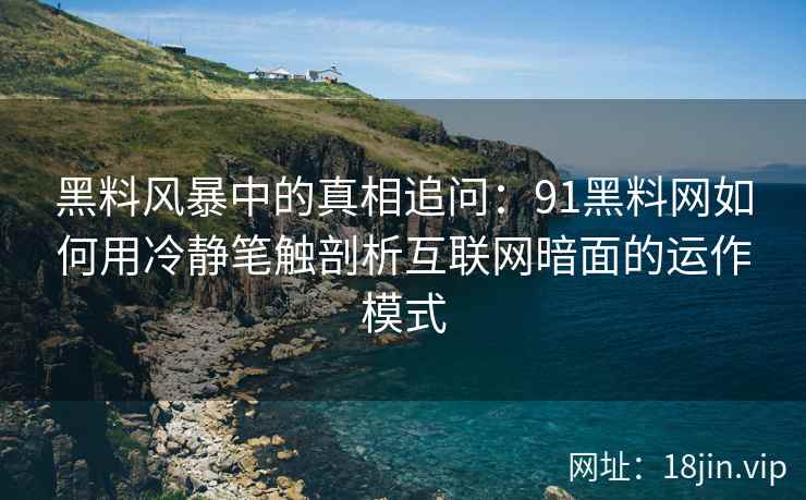 黑料风暴中的真相追问：91黑料网如何用冷静笔触剖析互联网暗面的运作模式